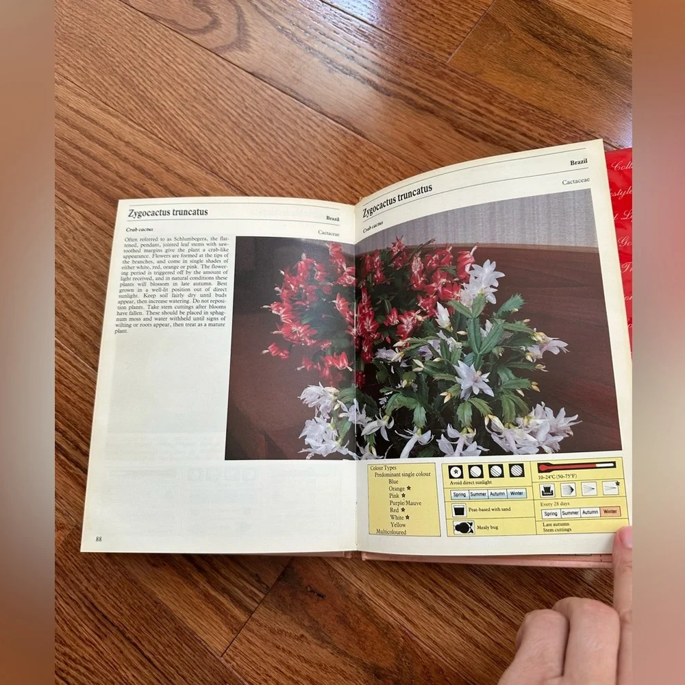 Vintage Spain Flowering Indoor Plants Book